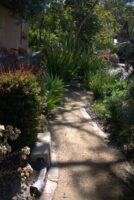 simple gravel path through mainly native garden