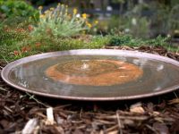 spun copper dish is a beautiful bird bath