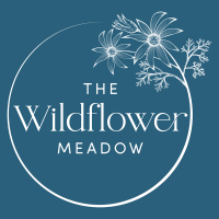 The Wildflower meadow Erina