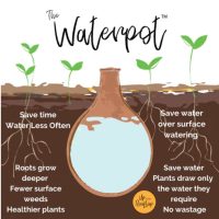 Waterwise Gardening for Beginners