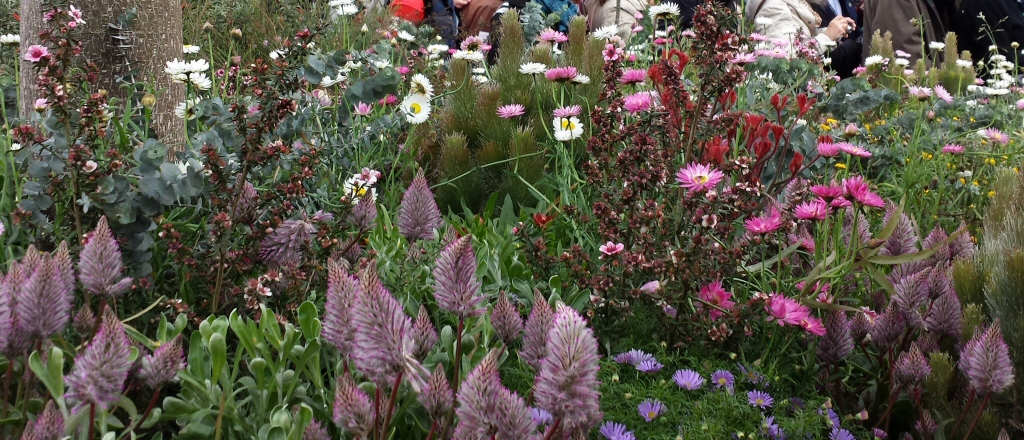 Landscape Designing With Australian Plants | Gardening With Angus