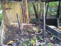 Compost bin with aerating pipes