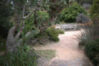 inviting seat on a stone and gravel path through a native garden