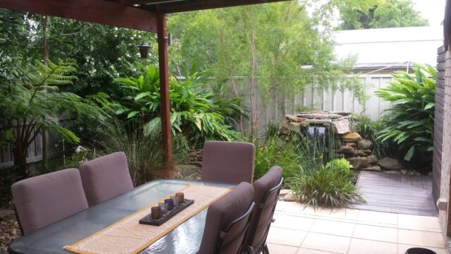 Waterfall feature in a small space by Ecolibrium Landscapes with Alpinia, tea tree, native rush and Australian ferns