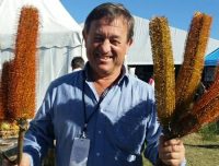 Banksia Giant candles and Angus Stewart