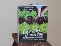 Grow Your Own - How To Be An Urban Farmer