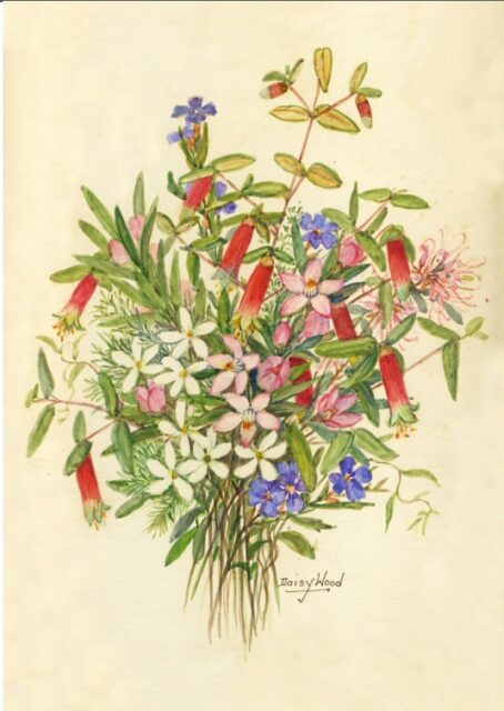 Sydney Sandstone wildflower bunch by Daisy Wood