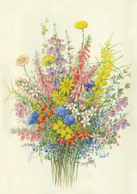Victorian High Country wildflower bunch by Daisy Wood