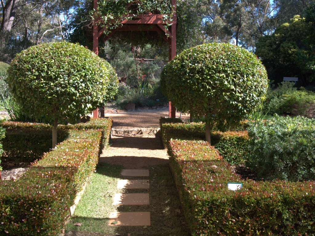 The New Formal Garden: With Australian Plants | Gardening ...