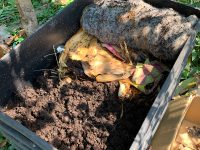 an easy method of harvesting worm castings