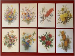 Australian Wildflower Greeting Cards