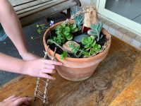 kids mini garden project