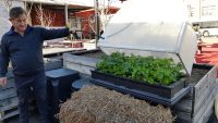 Vegepod cover protecting edible crops