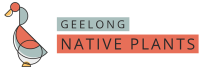 Geelong Native Plants