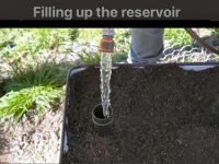 Filling reserrvoir in a wicking bed